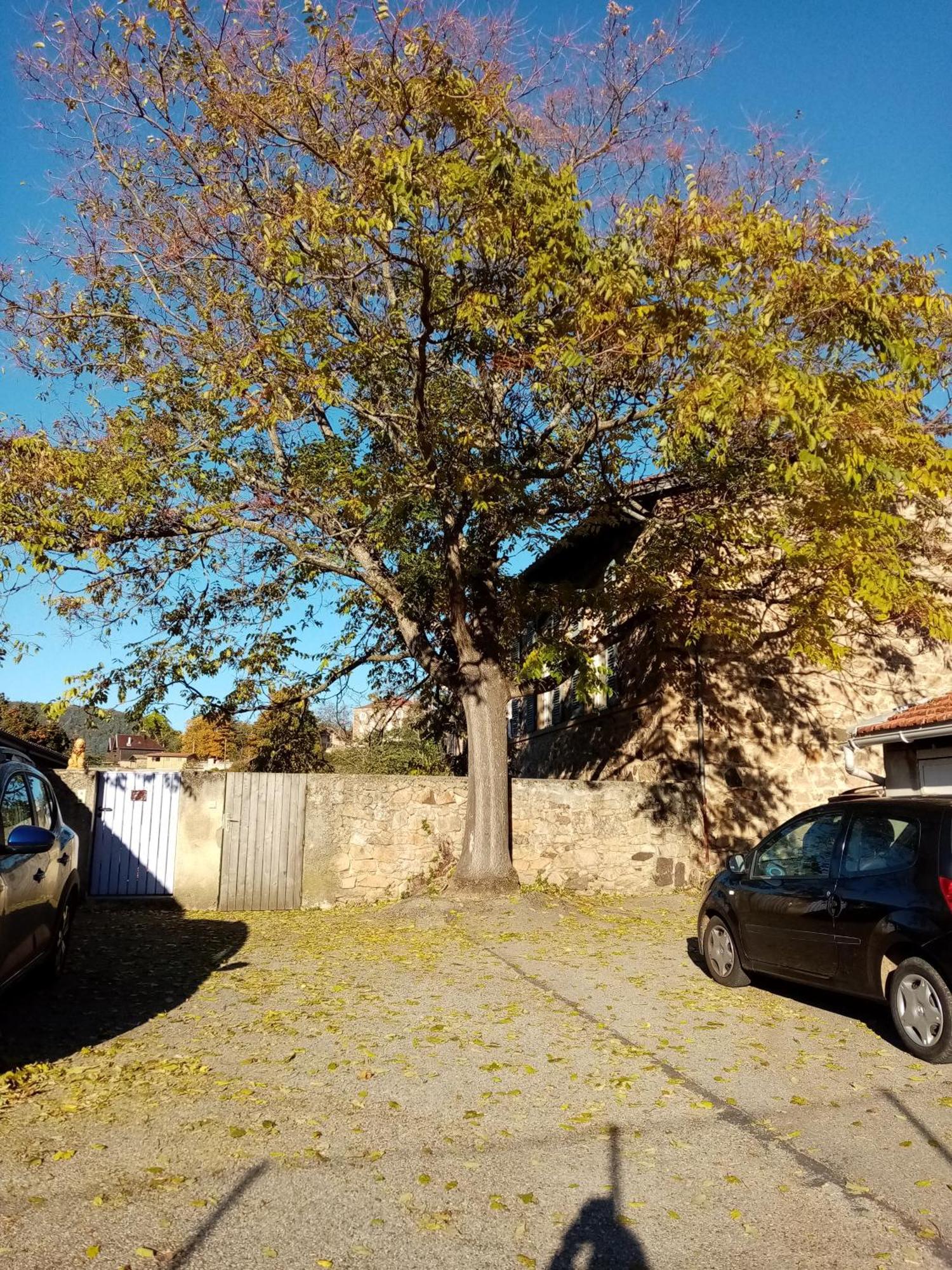 Charmant Gite Avec Parking Gratuit Sur Place. 达韦济约 外观 照片